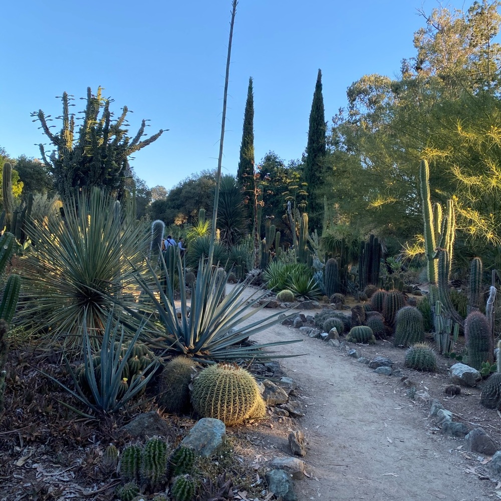 Meet your Posher, Adeline